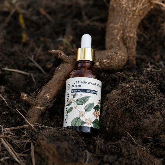 Ashwagandha Elixir