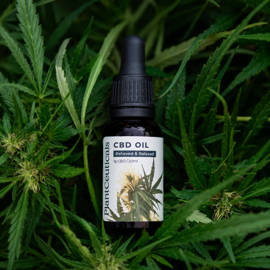 CBD Oil | Full Spectrum