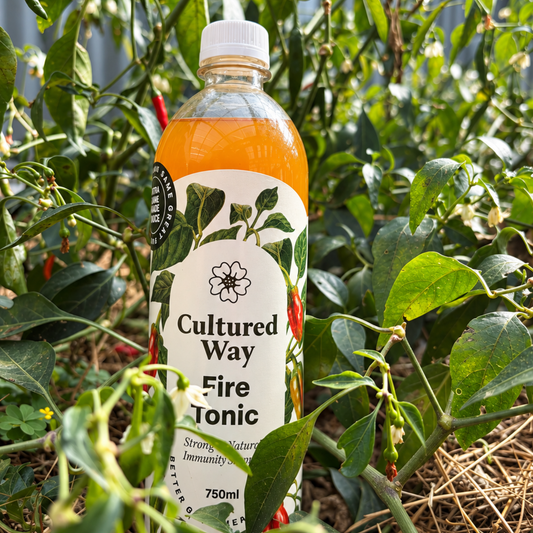 Cultured Way Fire Tonic