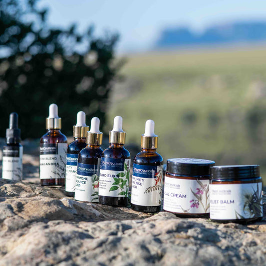 Immunity Defence Elixir - PlantCeuticals