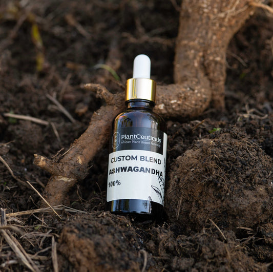 Ashwagandha Elixir - PlantCeuticals