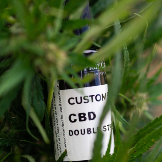 CBD Oil – Double Strength - PlantCeuticals