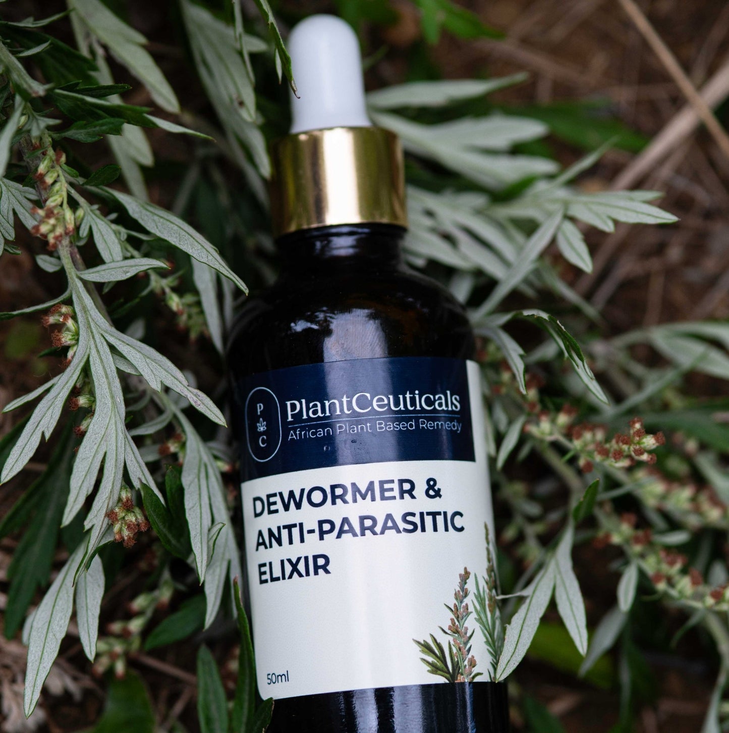 Dewormer & Anti - Parasitic Elixir - PlantCeuticals