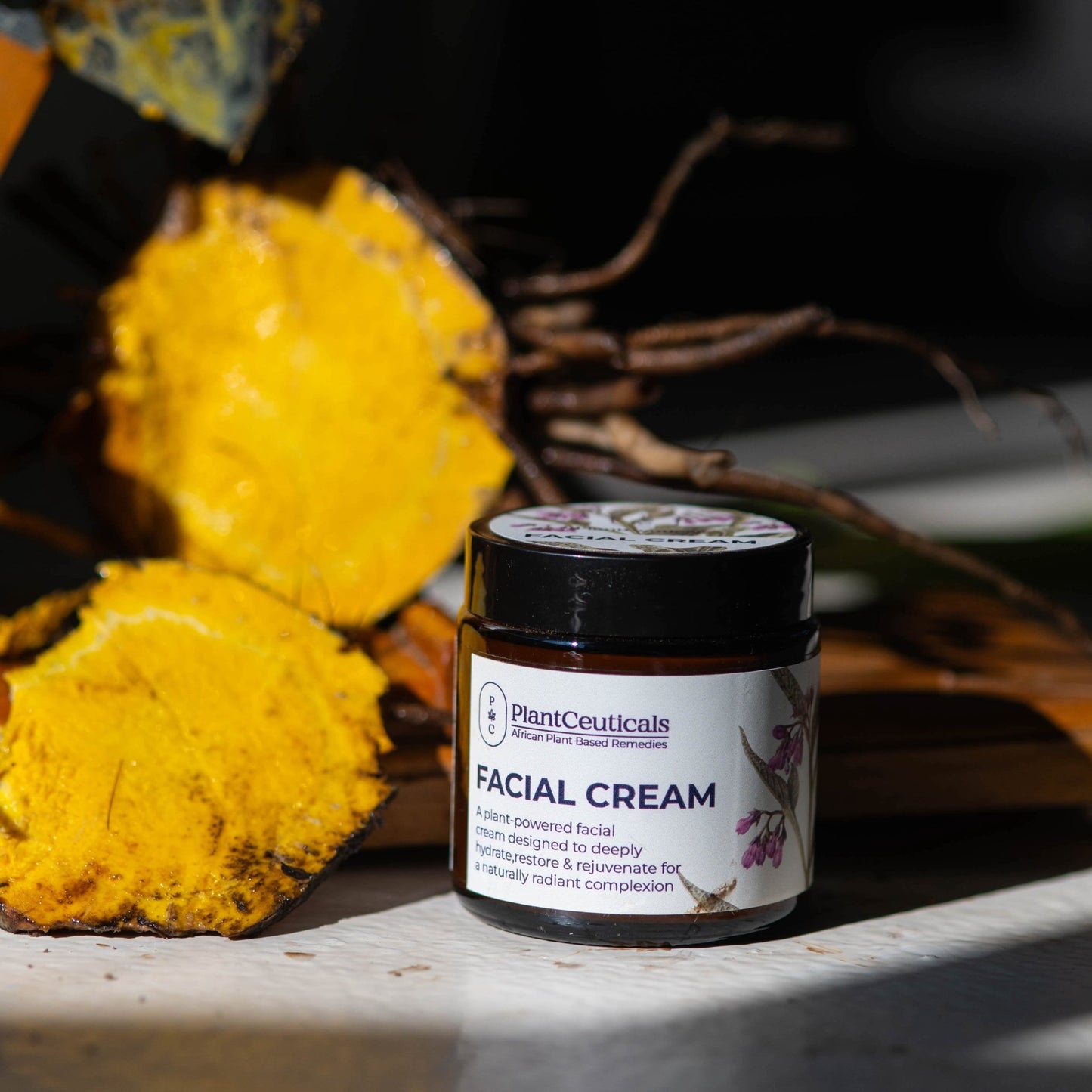 Facial Cream - PlantCeuticals