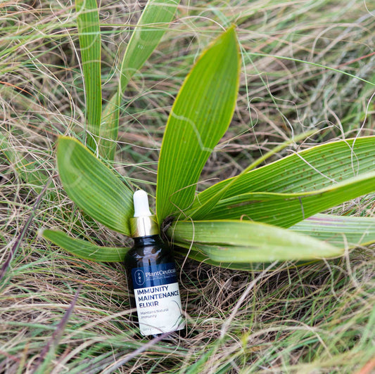 Immunity Maintenance Elixir - PlantCeuticals