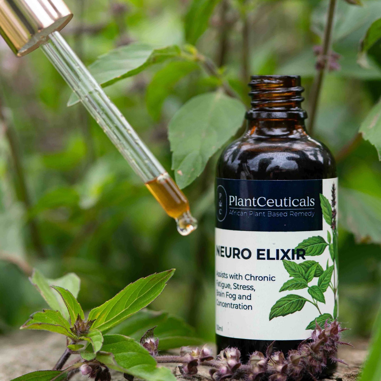 Neuro Elixir - PlantCeuticals
