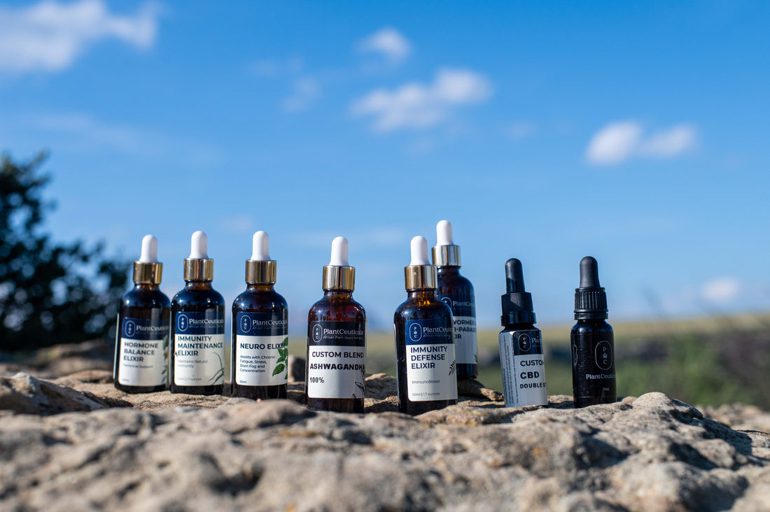 Welcome to the PlantCeuticals Root & Remedy Journal: A Personal Journey of Herbal Healing & Regenerative Living - PlantCeuticals