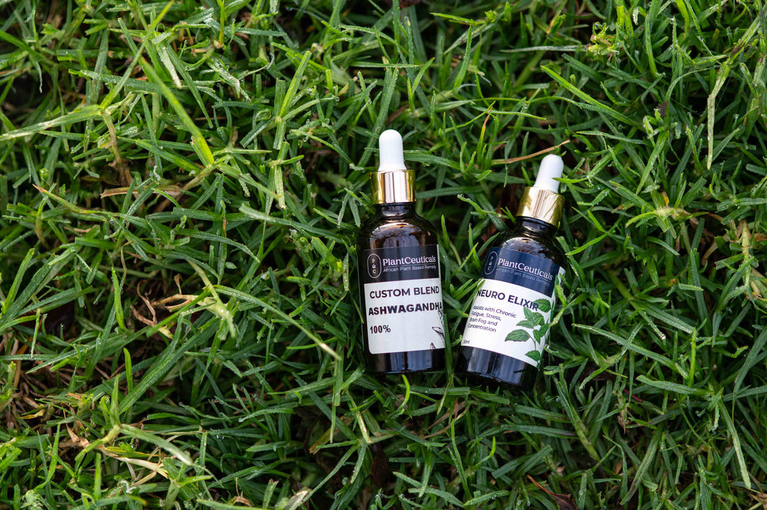 New Year Reset Guide: A mindful, natural way to begin the year feeling well - PlantCeuticals