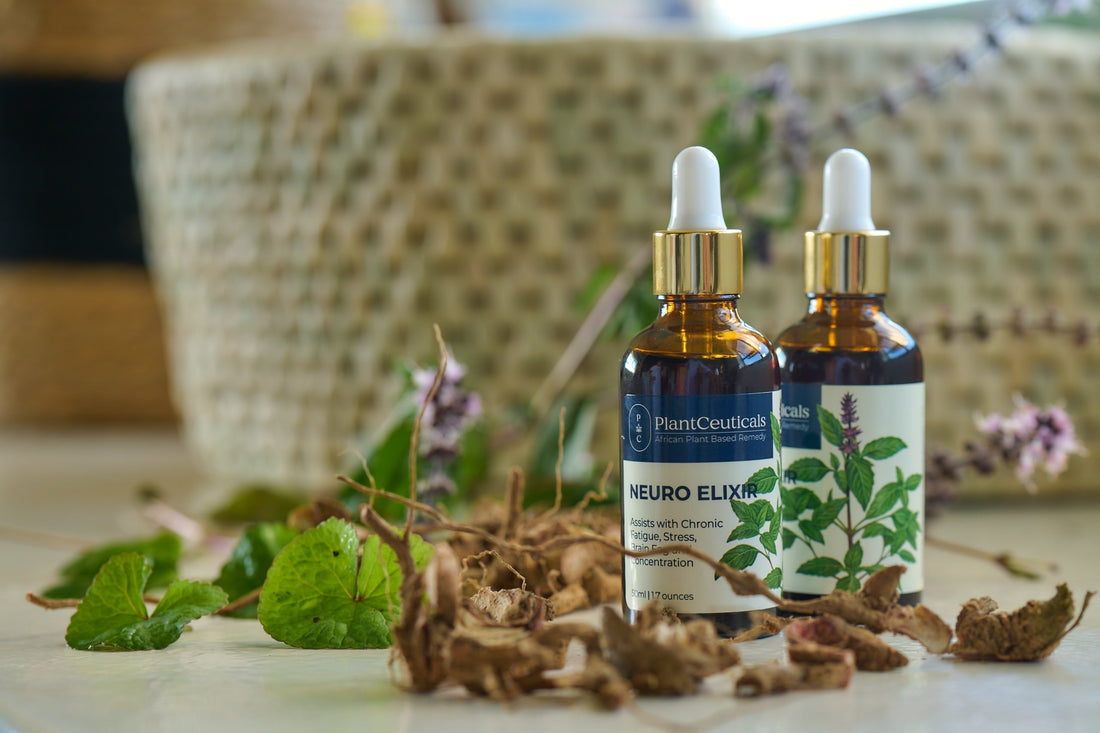 From Burnout to Balance: Our Journey to Natural Brain Support - PlantCeuticals