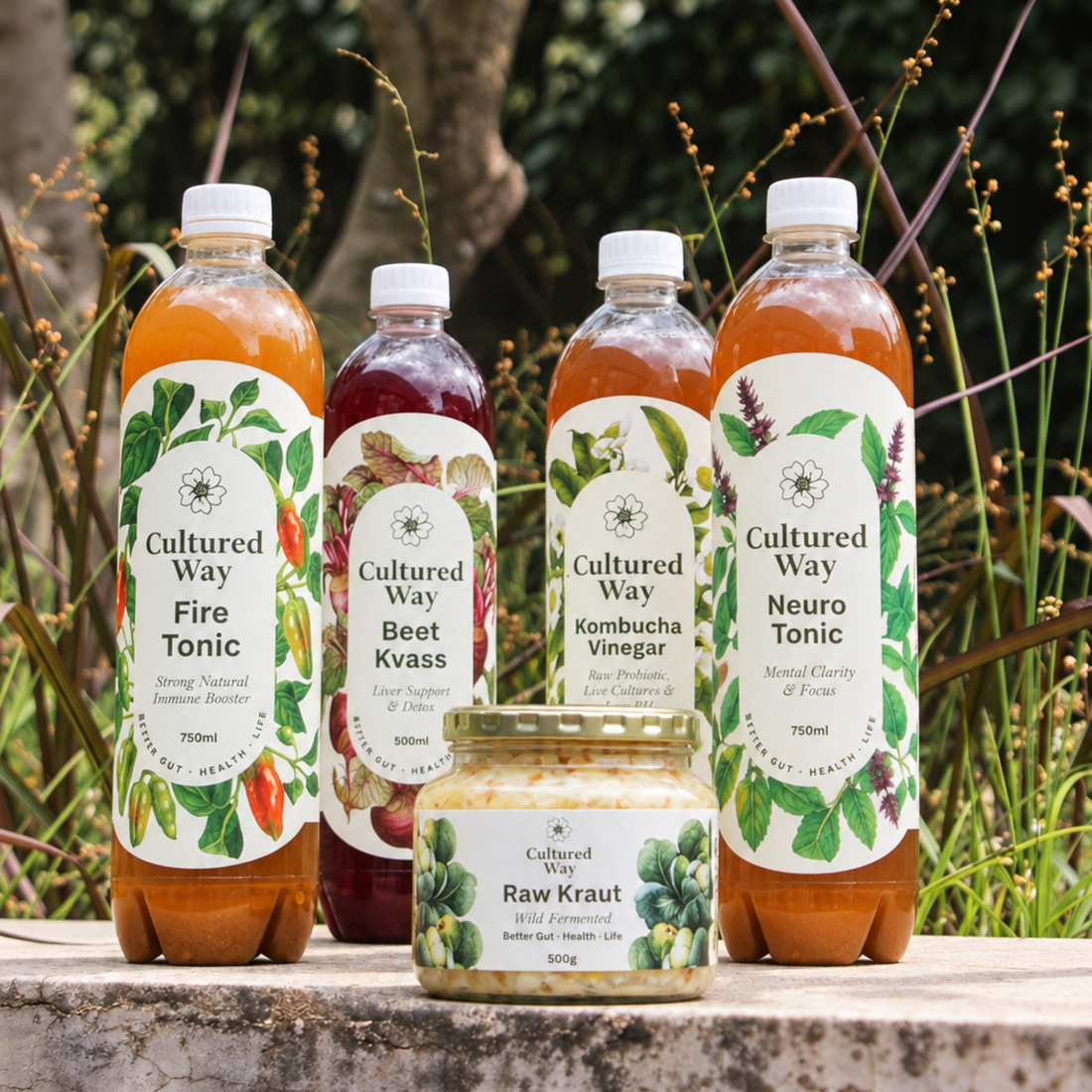 Fermented Wellness Has Joined PlantCeuticals