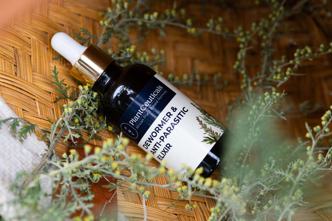 Deworming: Why and How To Do a Parasite Cleanse - PlantCeuticals