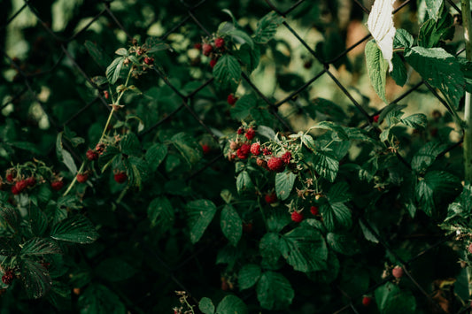 From Mood Swings to Menopause: Navigating Hormonal Shifts Without the Overwhelm