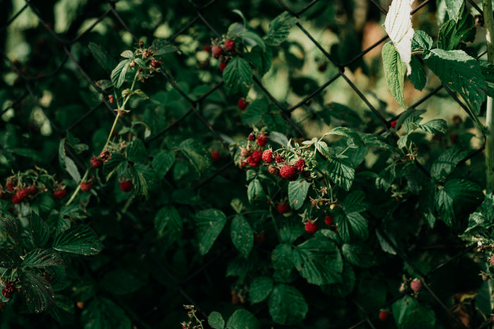 Navigating Hormonal Shifts Without the Overwhelm