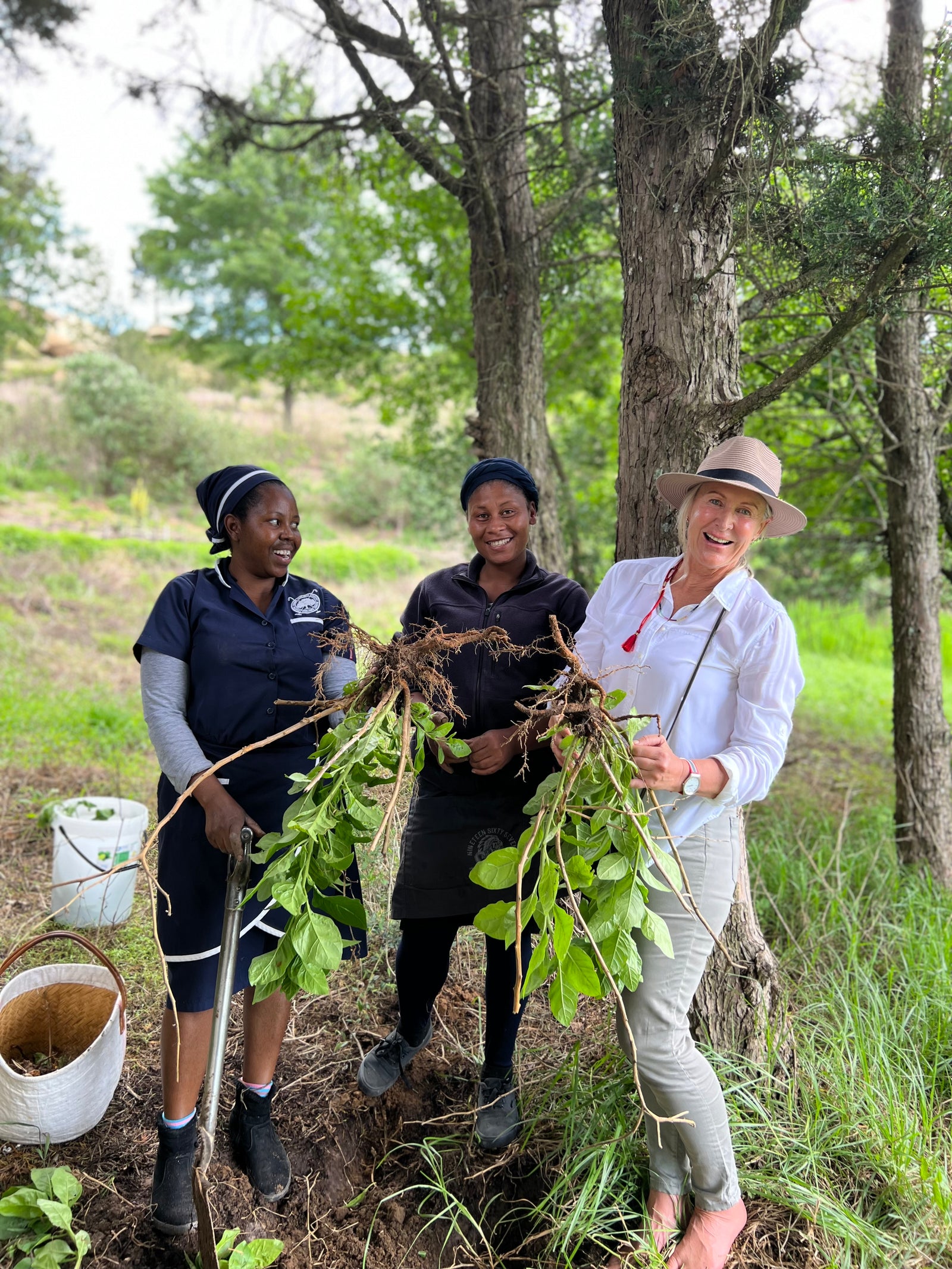 Three women holding a large plant in a natural farm setting with trees and greenery.
