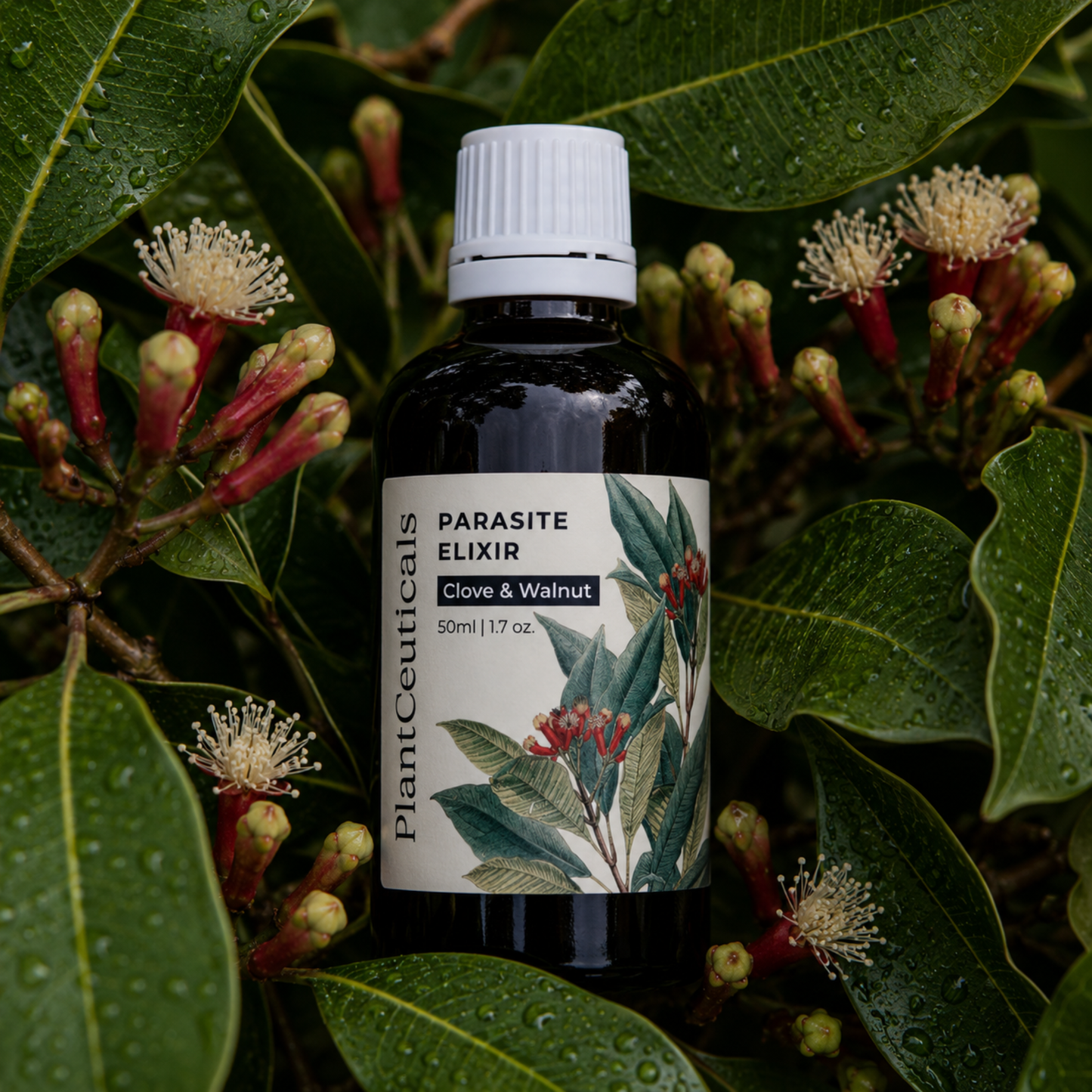 Clove and Walnut Parasite Elixir