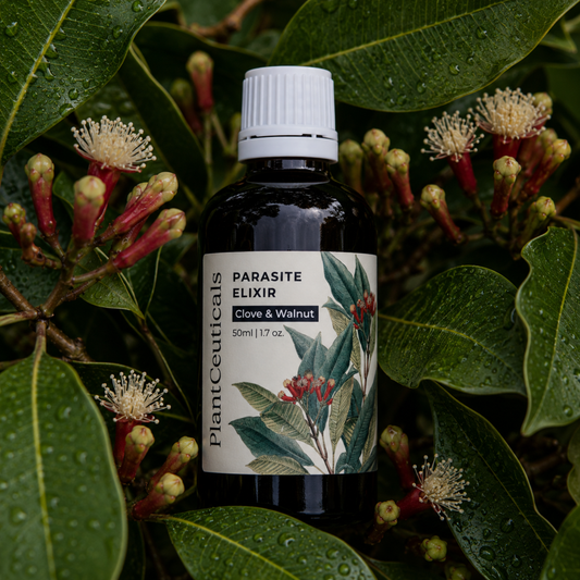 Clove and Walnut Parasite Elixir