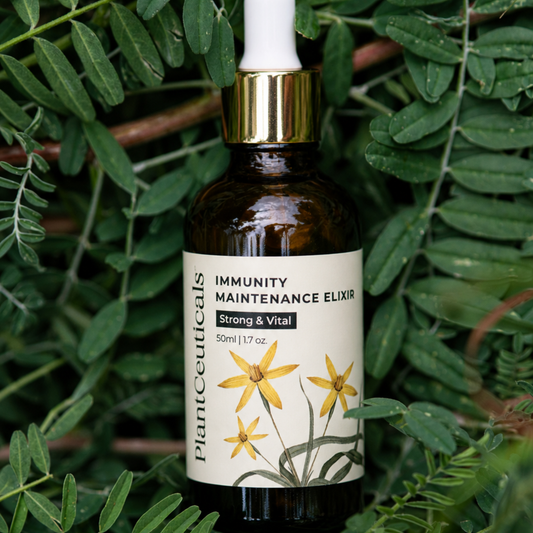 Immunity Maintenance Elixir