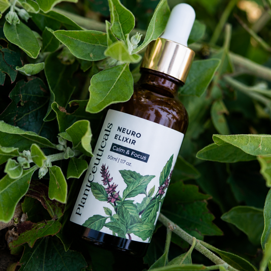 Neuro Elixir