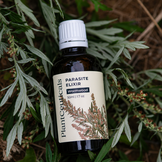 Wormwood Parasite Elixir